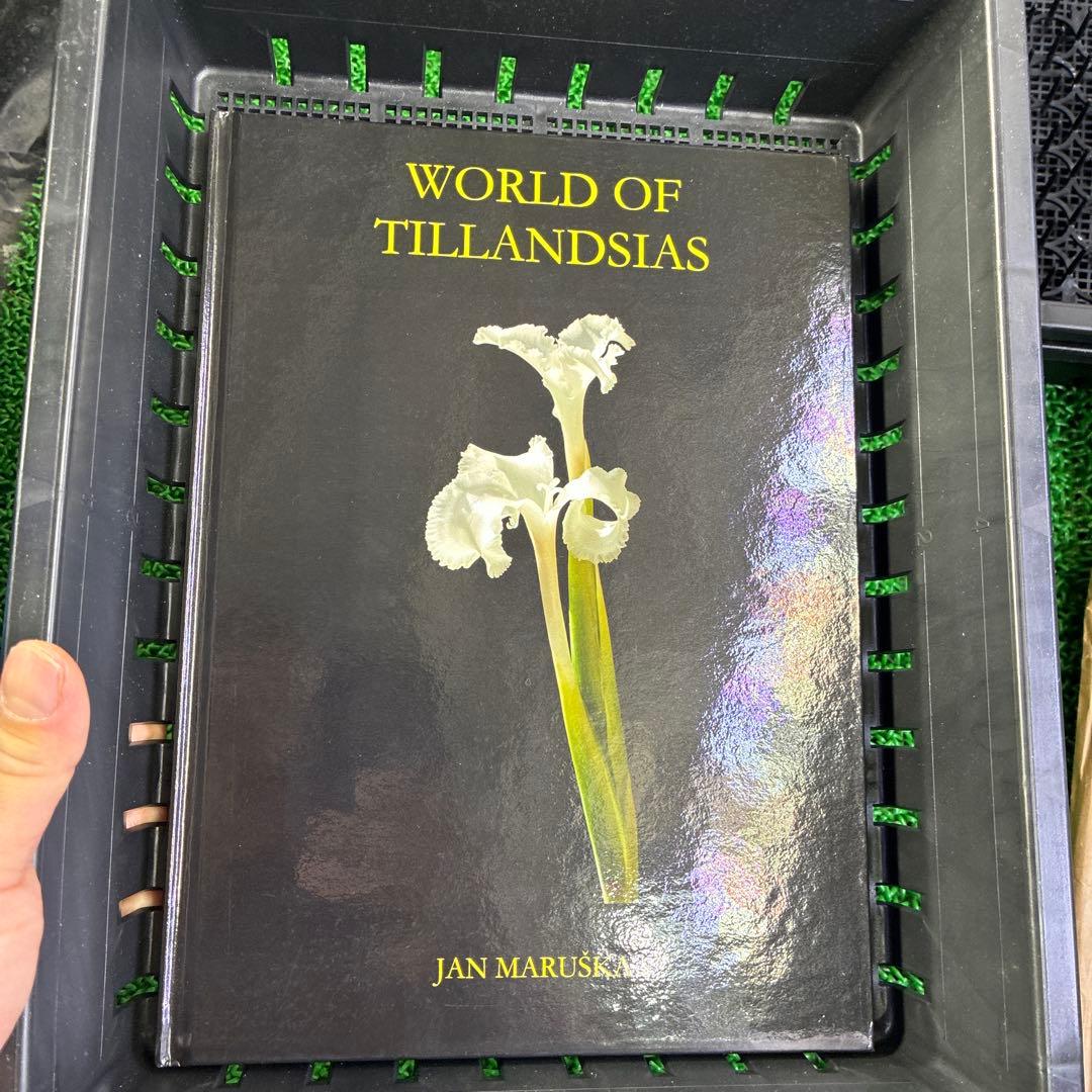 World of Tillandsia Jan Maruska著 送料無料】WORLD OF TILLANDSIAS〔Picture book〕 | plane plants