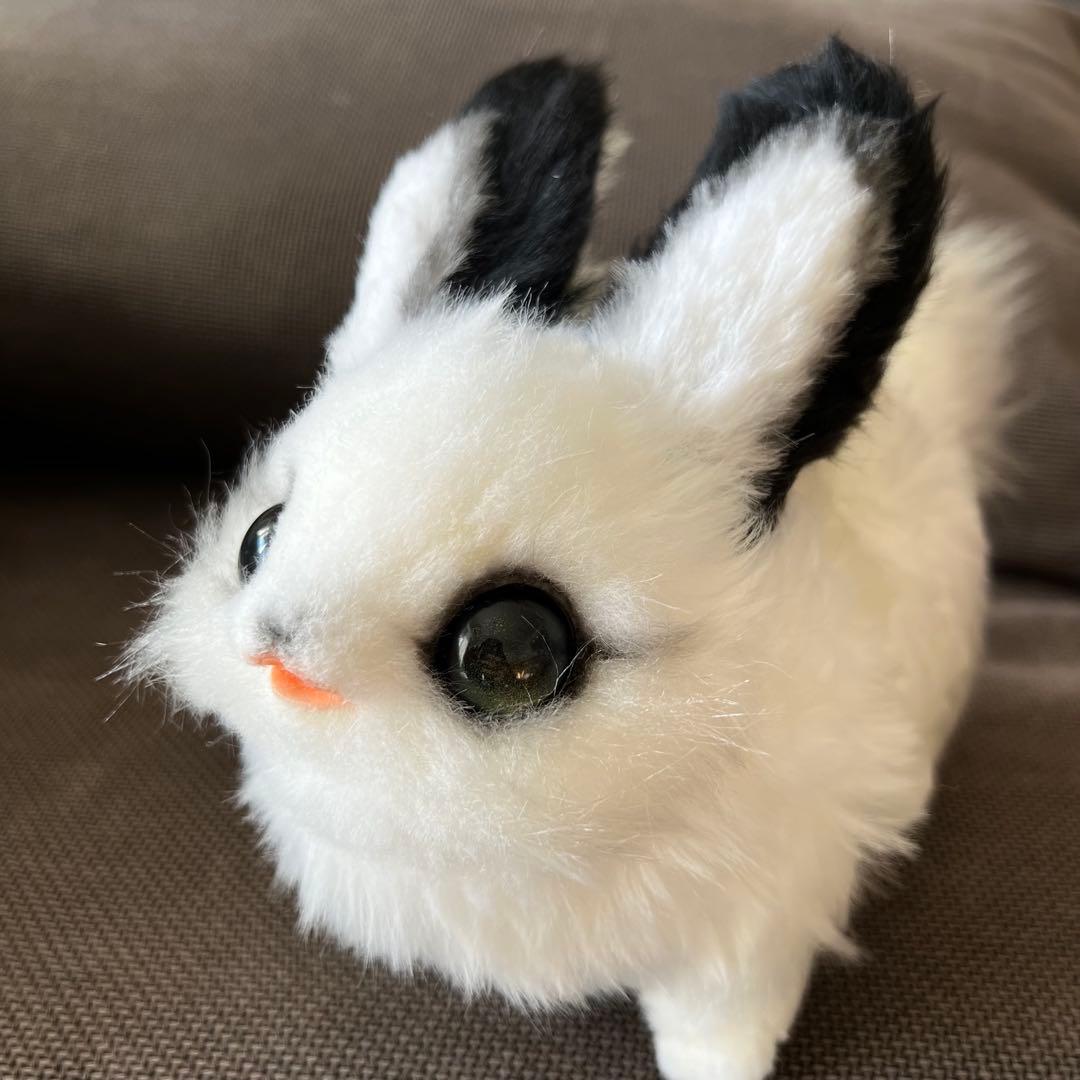 黎*様 作家様（テリトリドール様）アートドール うみうさ