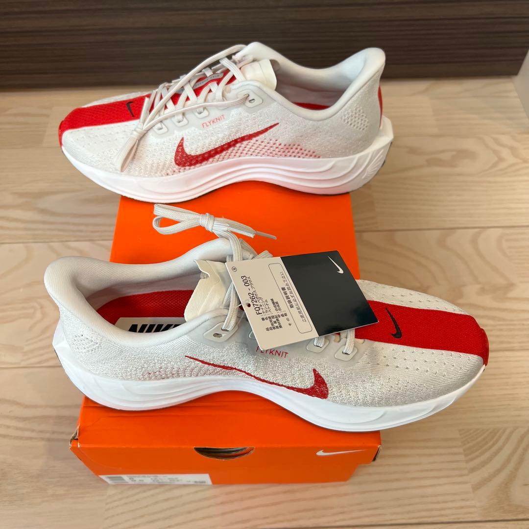 【未使用新品】NIKE ペガサス プラス FQ7262-003 / 26.0cm