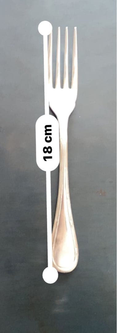 クリストフルホテルカトラリーセット 10点