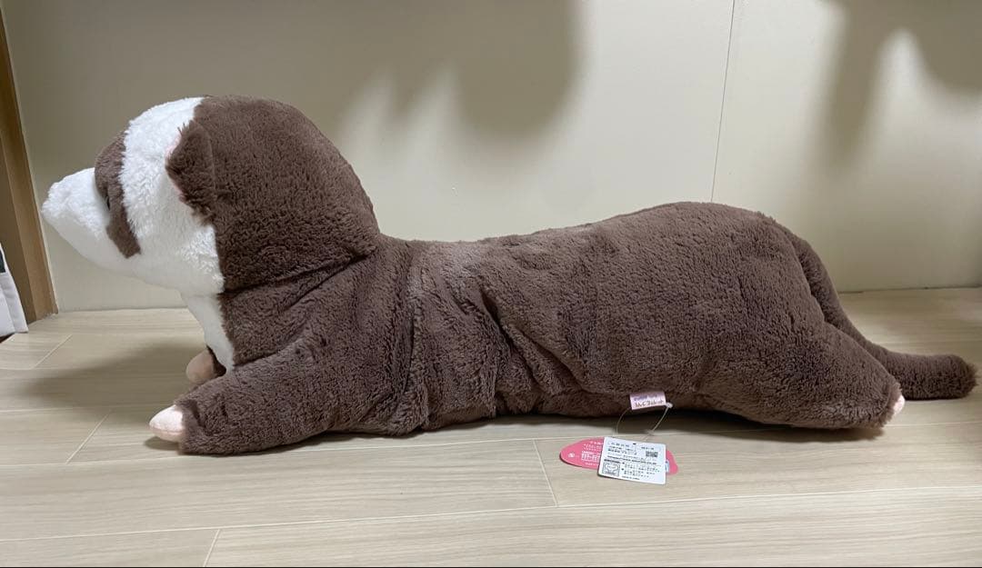 くぅたりろんぐフェレットナチュラル ウルトラBIG てぃらみす - メルカリ