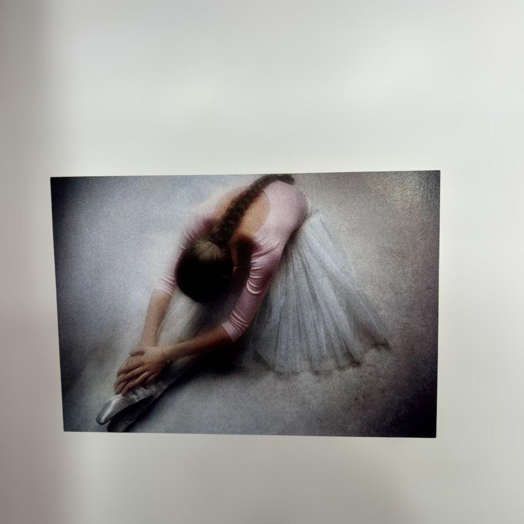 希少】David Hamilton：Jardin Secret 1981年初版 - メルカリ