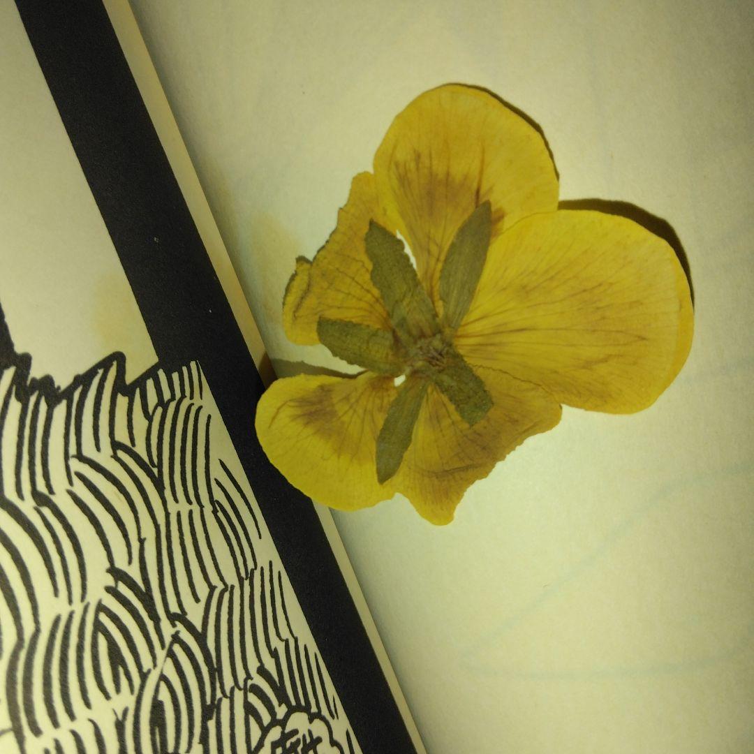 小さな雲の詩 やなせたかし 詩画集 サンリオ出版 絶版 希少 帯あり