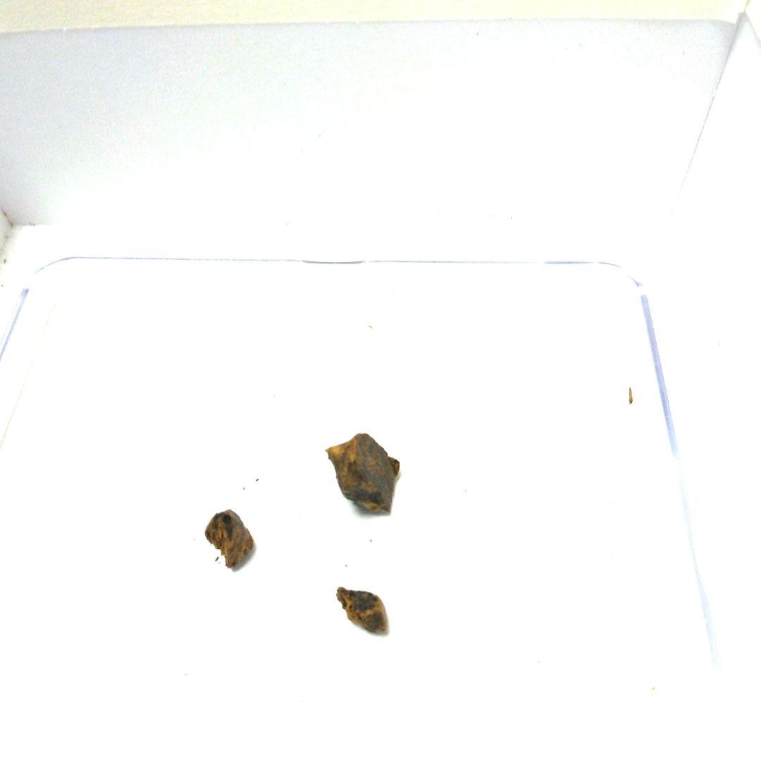 シャム沈香最高級品 0.75g