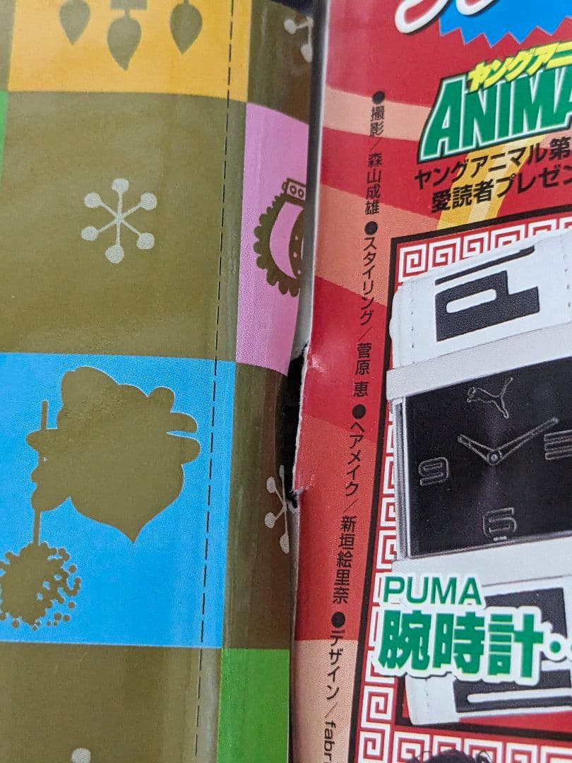 激レア ヤングアニマル 2008年 21号 ベルセルク 特別カバー付き 大人気