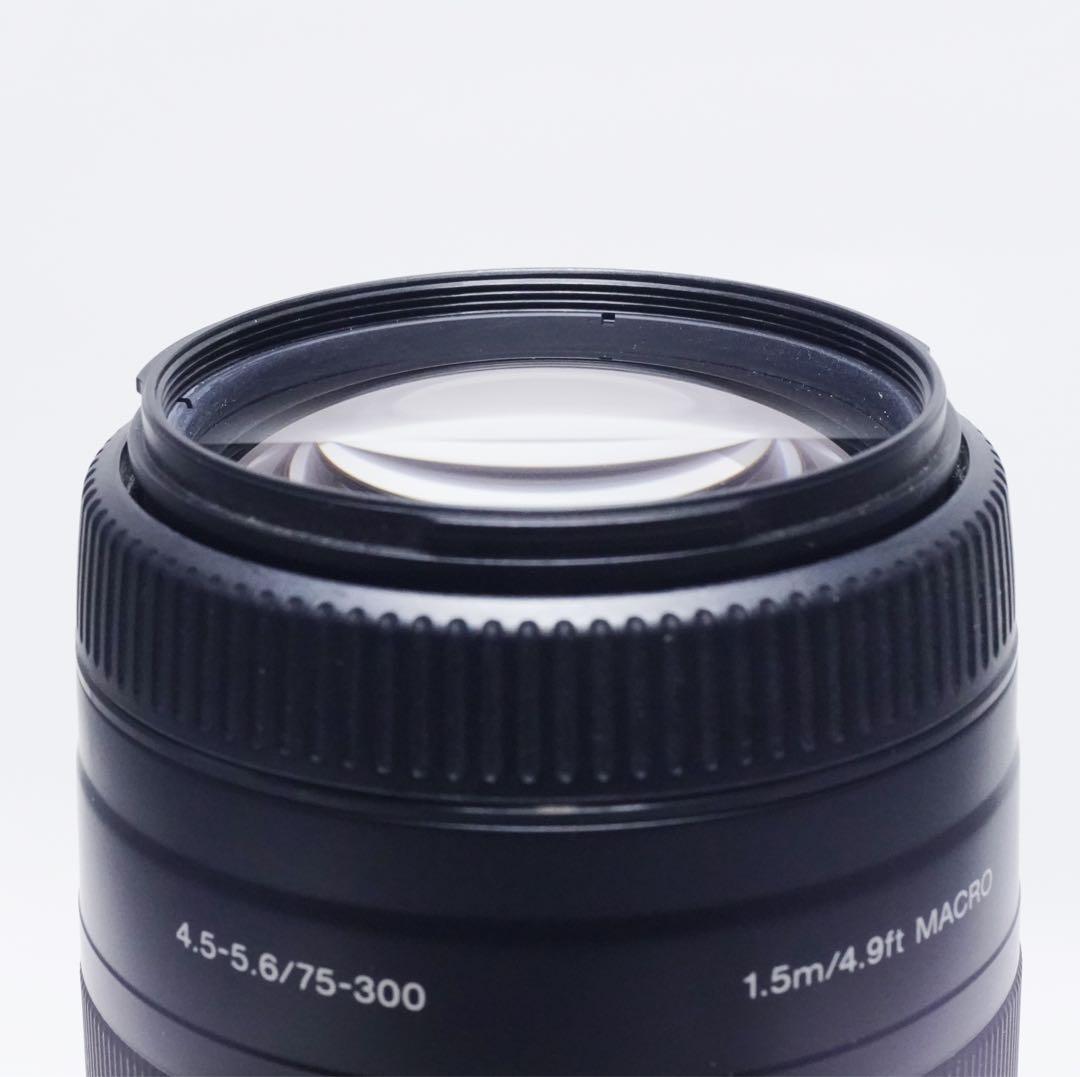 極美品 SONY 75-300mm F4.5-5.6 SAL75300