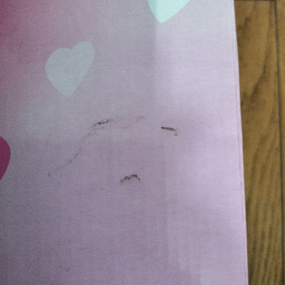 未使用 美鳥の日々 美鳥1/1フィギュア ストラップのセット - メルカリ