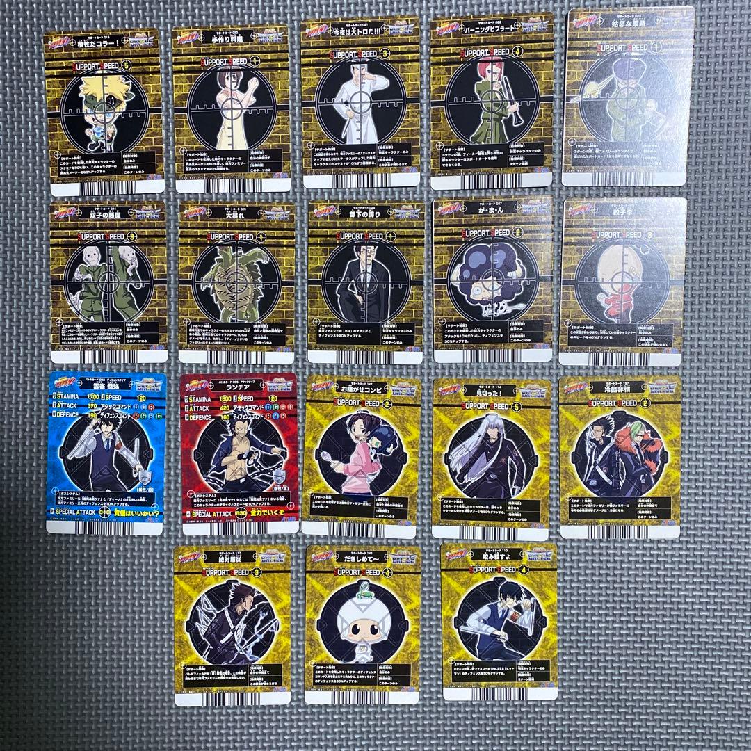 家庭教師ヒットマンREBORN! サザンクロスバトル ボンゴレア2枚含む48枚