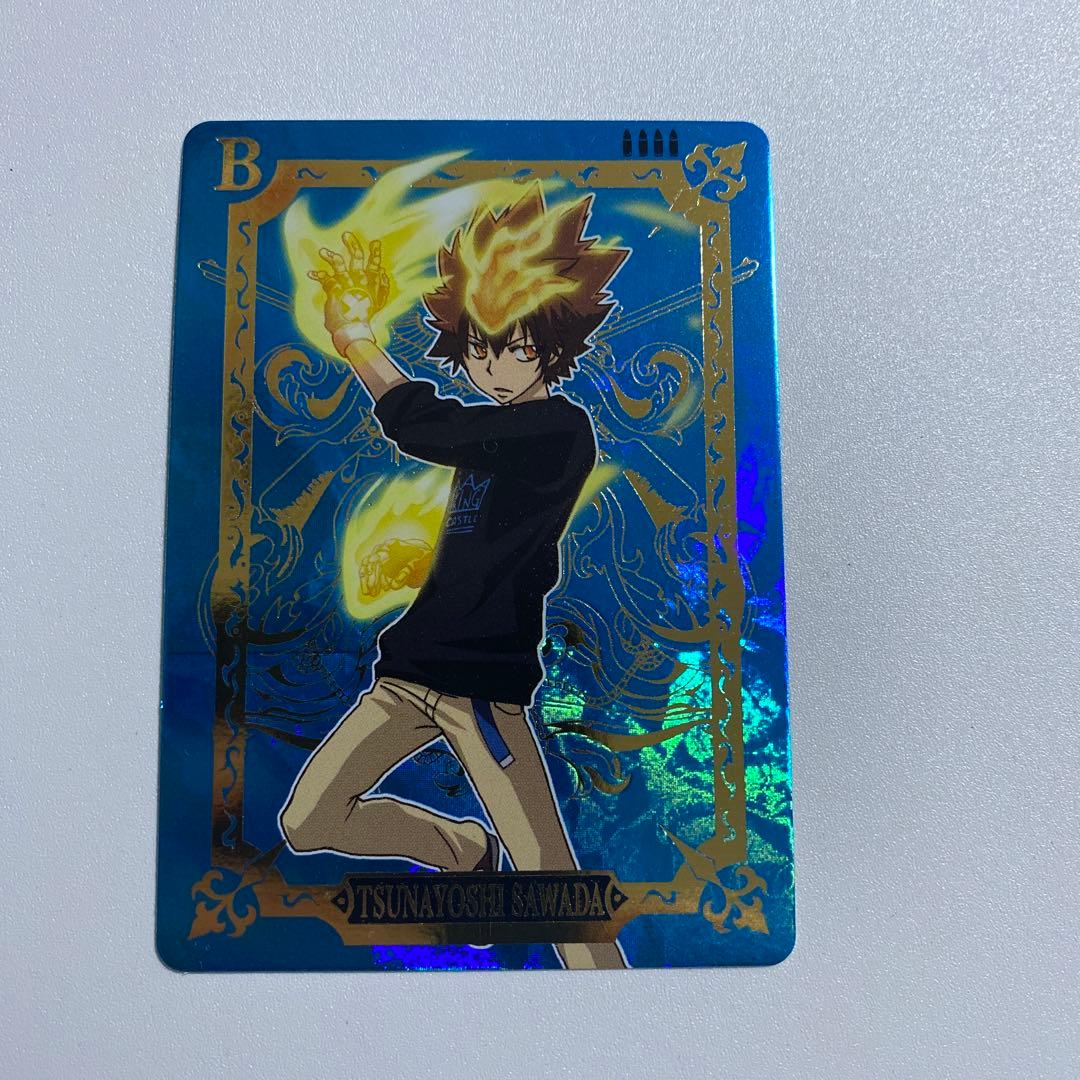 家庭教師ヒットマンREBORN! サザンクロスバトル ボンゴレア2枚含む48枚