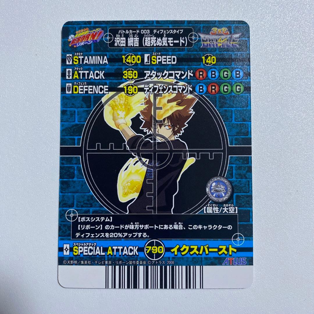 家庭教師ヒットマンREBORN! サザンクロスバトル ボンゴレア2枚含む48枚