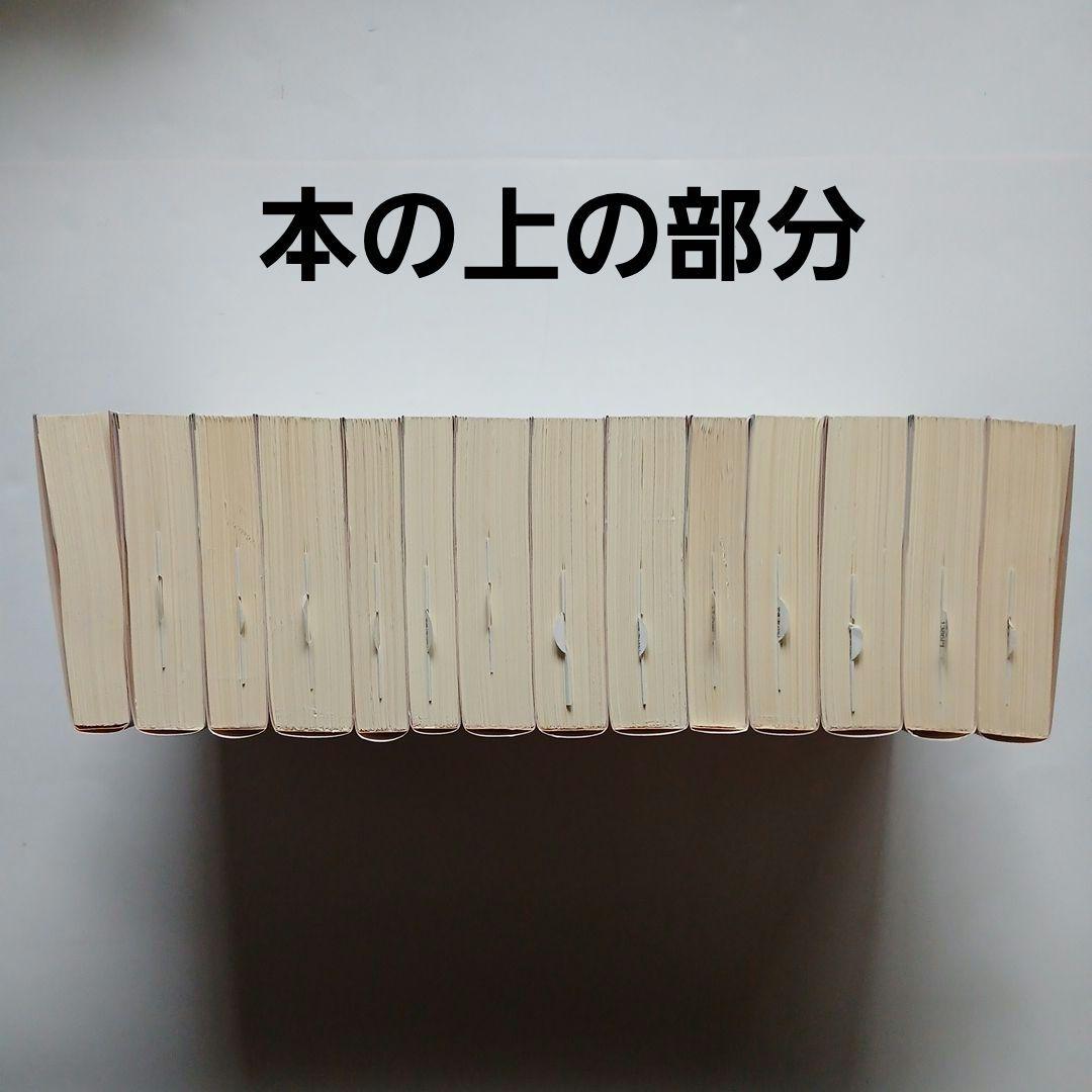 失われた時を求めて全巻セット《1~14全14巻全巻完結》岩波文庫/全巻しおり付き