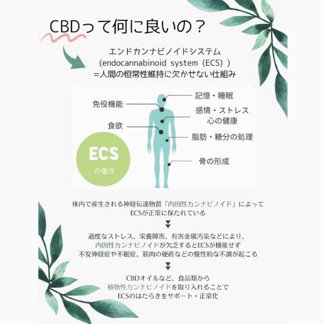 HHBD リキッド 0.5ml CBD CBN CBP H4CBH - メルカリ
