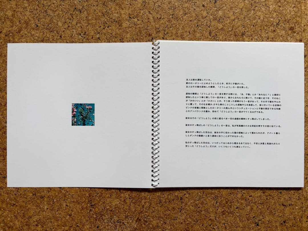 原美樹子写真展「AGNUS DEI」 1998年インクジェット写真集 - メルカリ