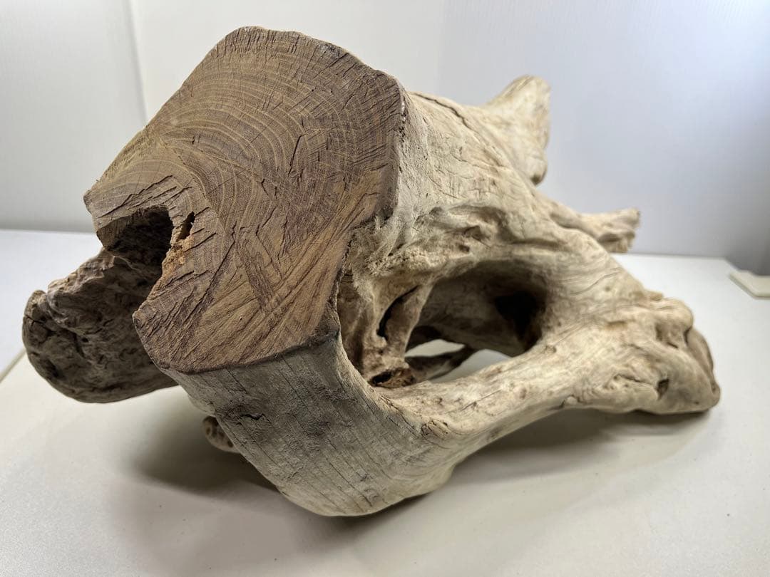 T90特大流木 大型流木 アク抜き済み 漂白処理 爬虫類シェルター