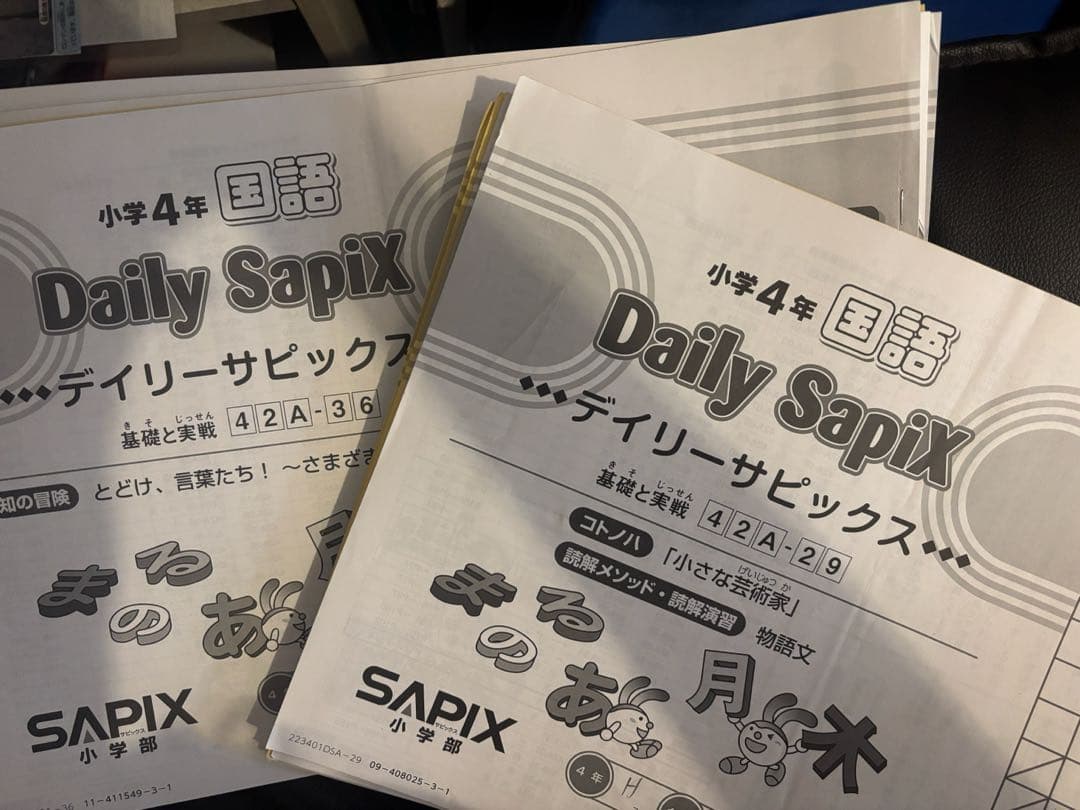 Daily Sapix 小学4年 国語 デイリーサピ 4年生国語 季節講習含む