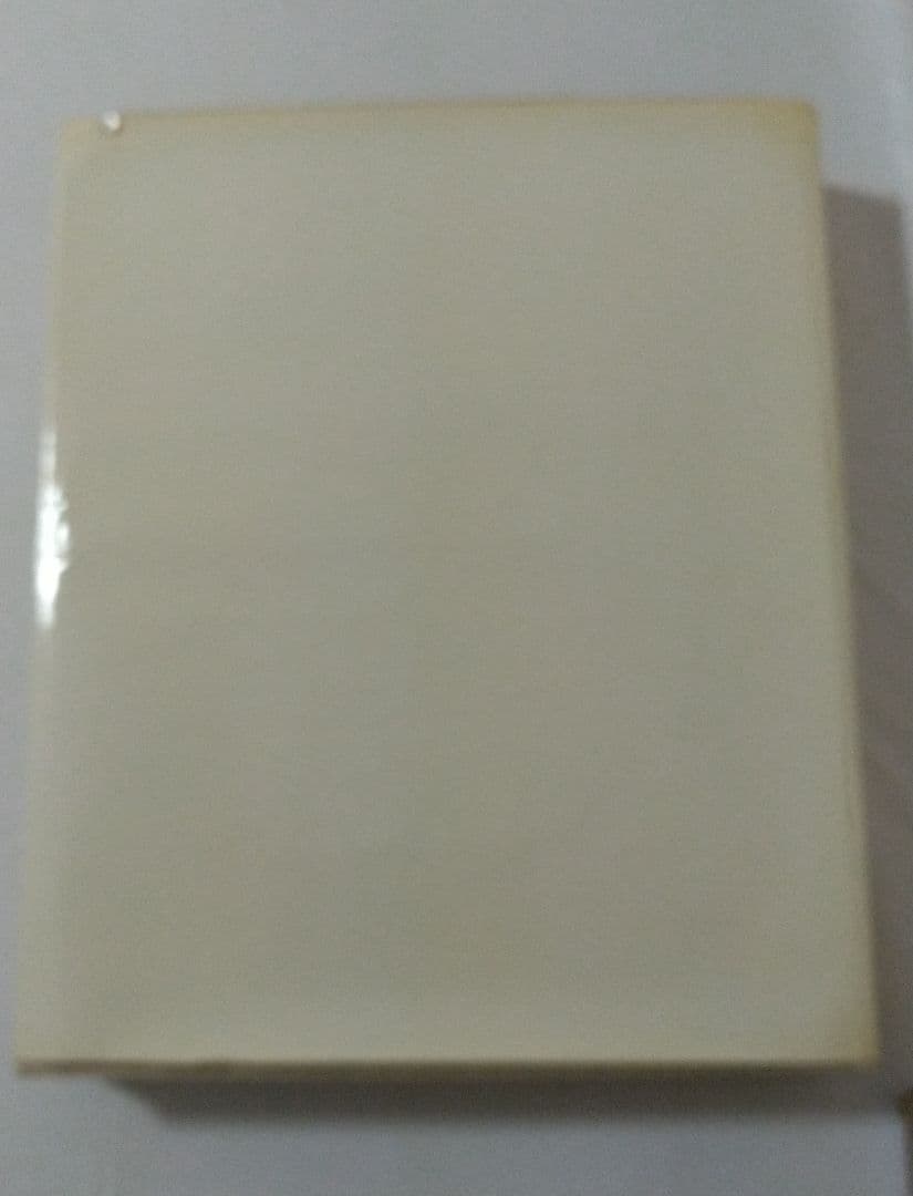 ジャン・ブルッセルマン Jean BRUSSELMANS 画集 全作品目録 洋書