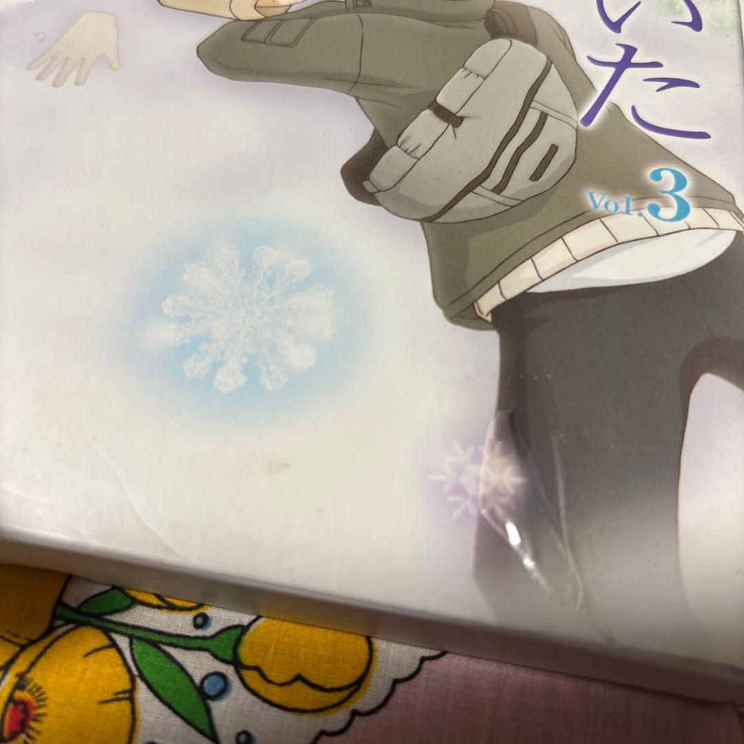 僕等がいた DVD 4巻セット