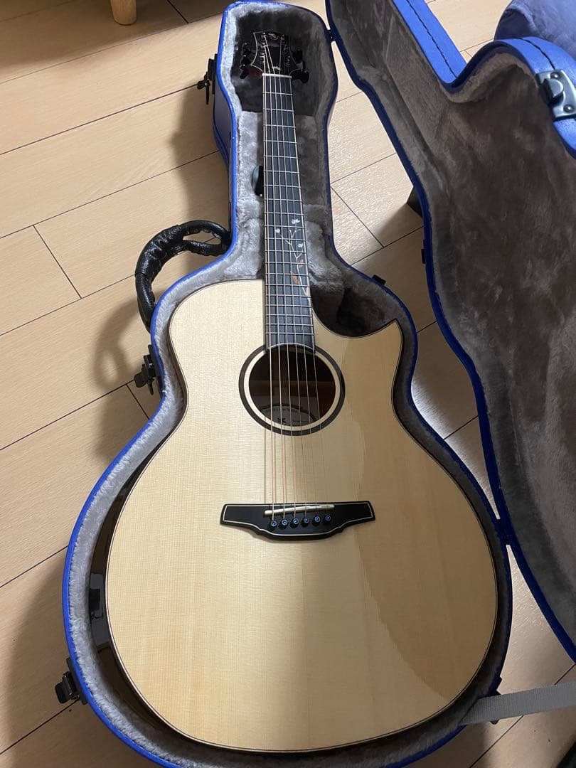 Naga Guitars S-60GACNaga Guitars S-60GAC 楽器・機材