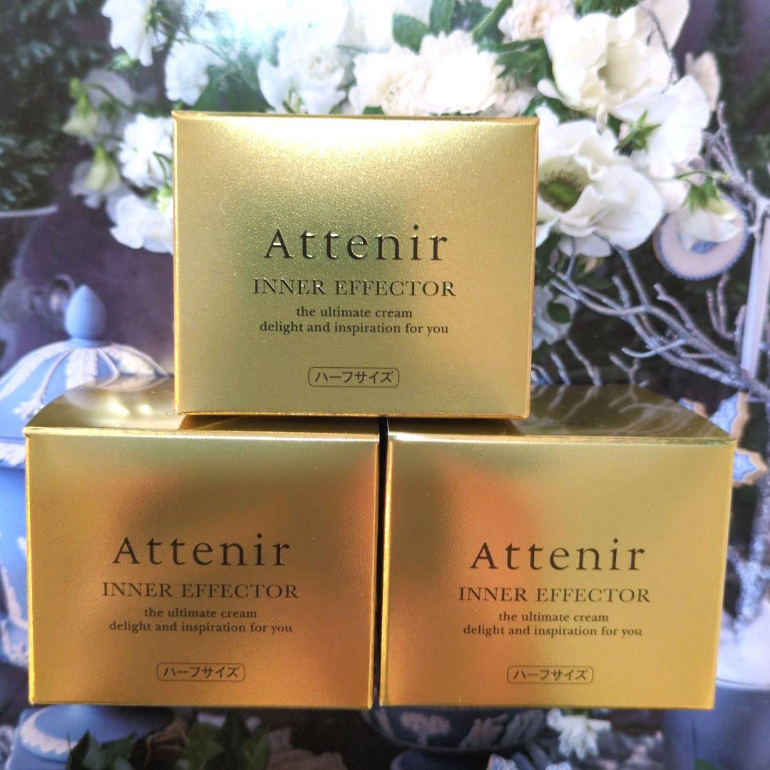 Attenir INNER EFFECTOR 17.5g ハーフサイズ 3個