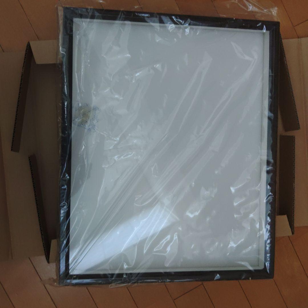 志賀昆虫大型ドイツ箱2箱セット 志賀昆虫大型ドイツ箱2箱セット 大型標本箱(ドイツ箱？)3個セット