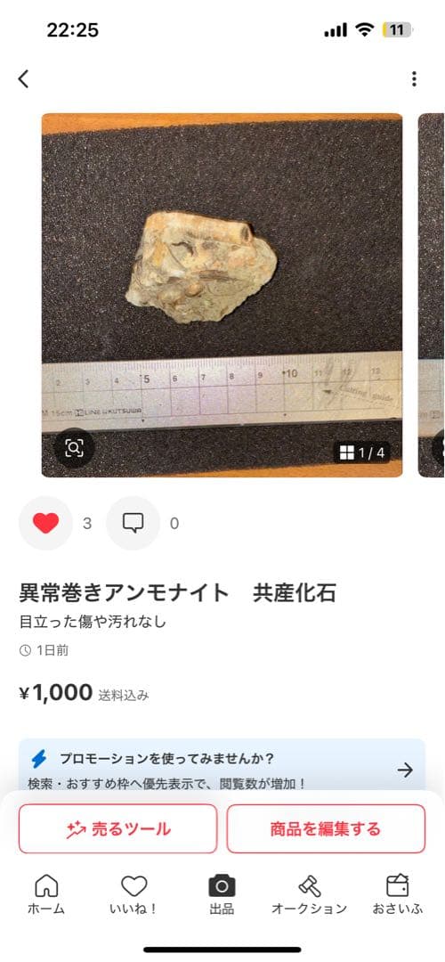 ひでさん様専用 化石セット