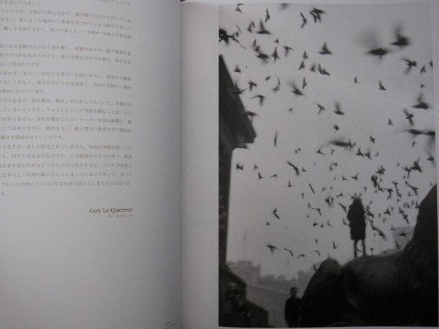 MAGNUM MAGNUM マグナム・マグナム (日本語版)　大型書籍