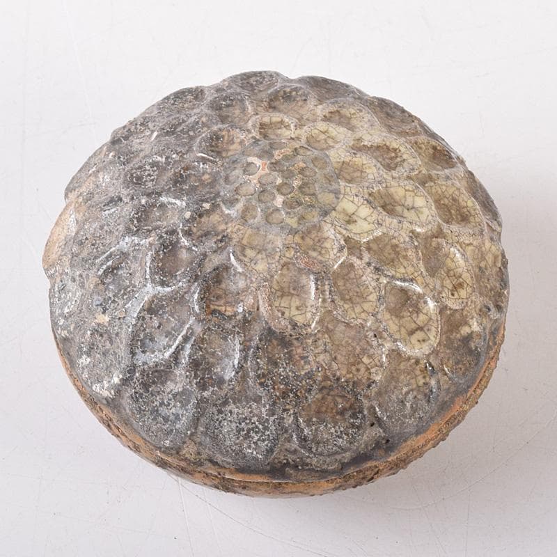 茶道具 大樋焼 菊形 香合 時代箱 N 7468 - メルカリ