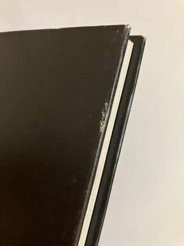 レア 天野喜孝イラスト「魔笛」初版本 帯付き ファンタジー アート