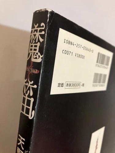 レア 天野喜孝イラスト「魔笛」初版本 帯付き ファンタジー アート