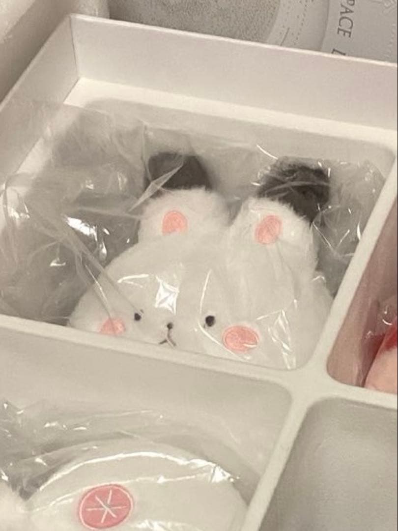 恋と深空 日本語版VIP特典 セイヤ アクリルブロック、ぬいぐるみ、手紙