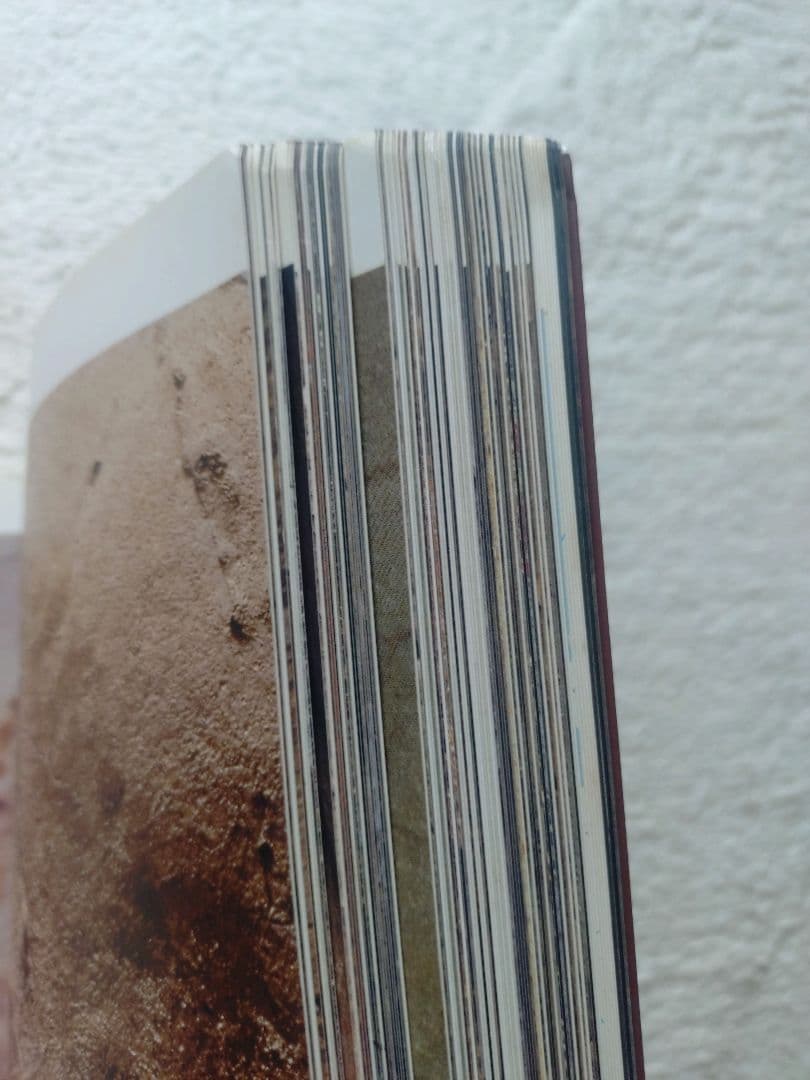 レア! 洞窟芸術 Cave Art ジャン・クロッテ Jean Clottes - メルカリ