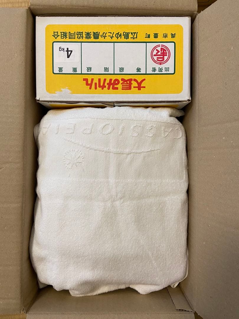 Macintosh Color Classic キーマウ フロッピー ジャンク - メルカリ