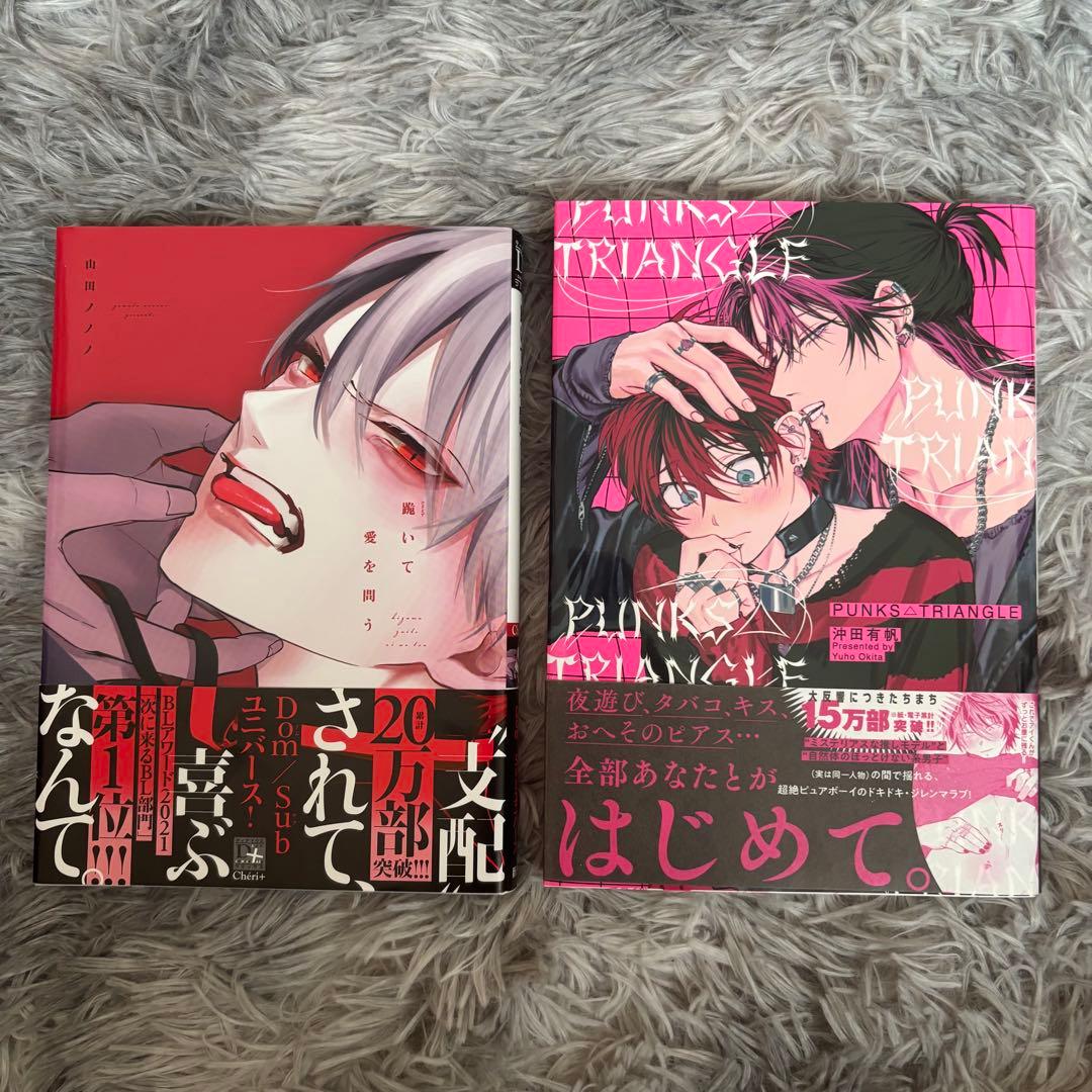 BLコミックまとめ売り 14冊 ボーイズラブ BL本 - メルカリ