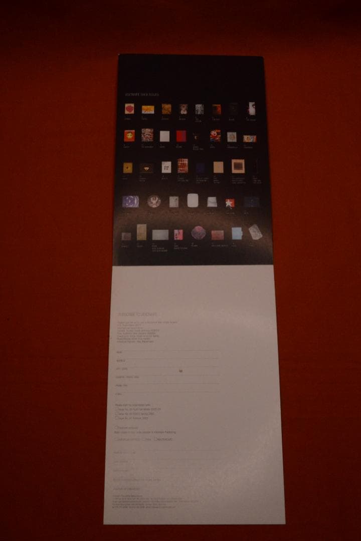 VISIONAIRE 40：DAVID SIMS ROSES　★★値下げしました