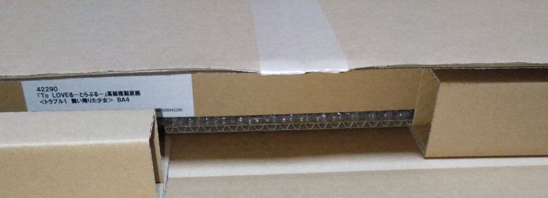 To LOVEる -とらぶる- 高級複製原画トラブル1 舞い降りた少女 BA4