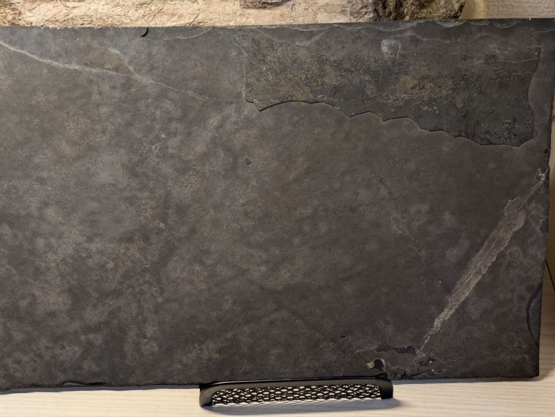 ケイチョウサウルス 化石 博物館級 地学 標本 - メルカリ