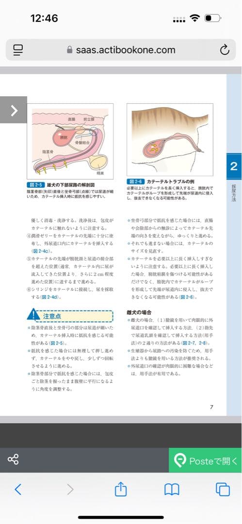 新刊 サッとわかる犬と猫の尿・糞便検査 獣医師愛玩動物看護師のための
