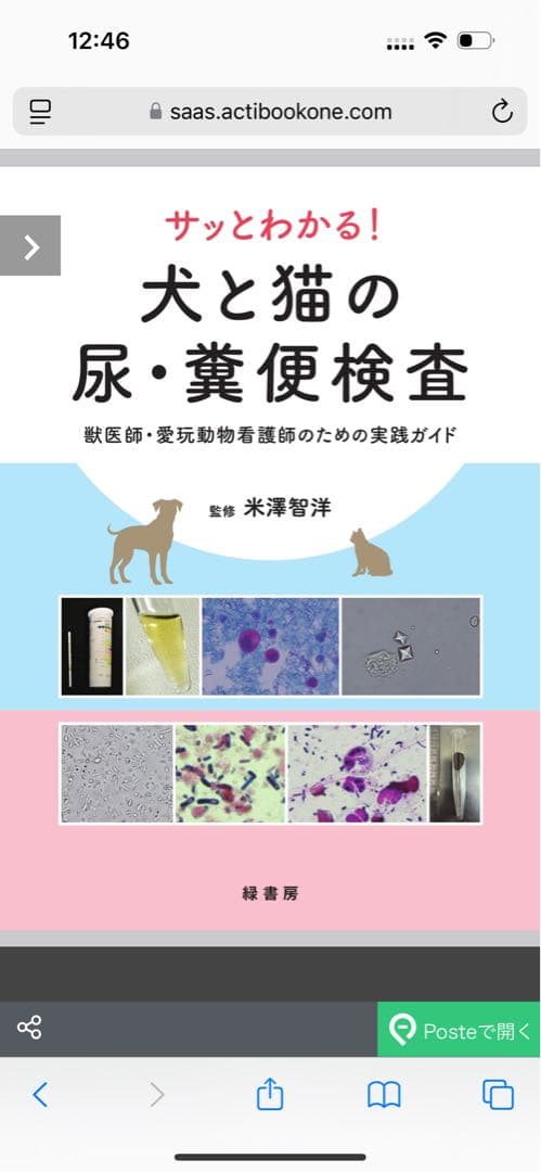 新刊 サッとわかる犬と猫の尿・糞便検査 獣医師愛玩動物看護師のための