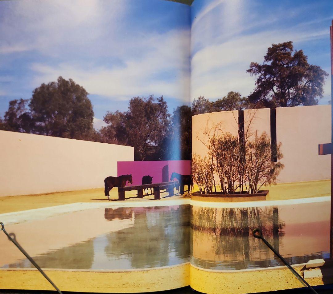 Y*i様 Armando Salas Portugal ルイス・バラガン