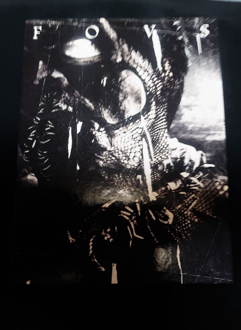 DIR EN GREY FC限定販売「FEAST OF V SENSES」DVD - メルカリ