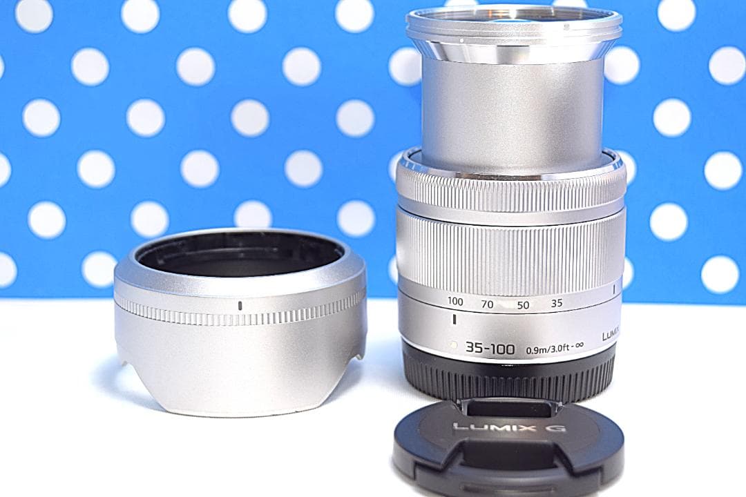 美品 LUMIX G 35-100mm F4.0-5.6☆望遠レンズ☆超望遠