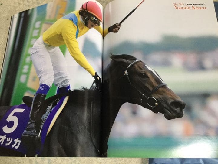 2008年   ターフヒーロー   ウオッカ＆ダイワスカーレット