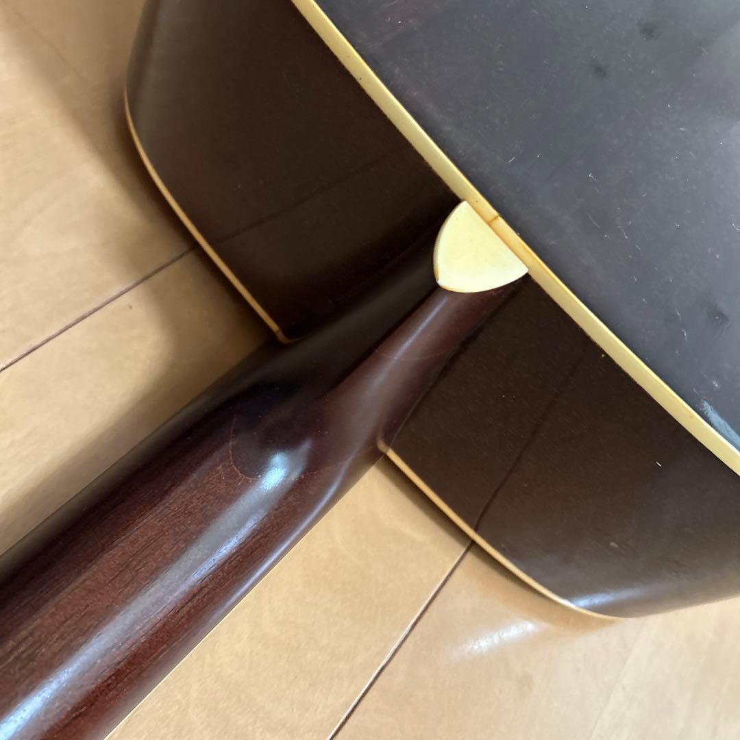 ぴょんたん様専用Cat's Eyas CE-200 東海楽器工房 - メルカリ