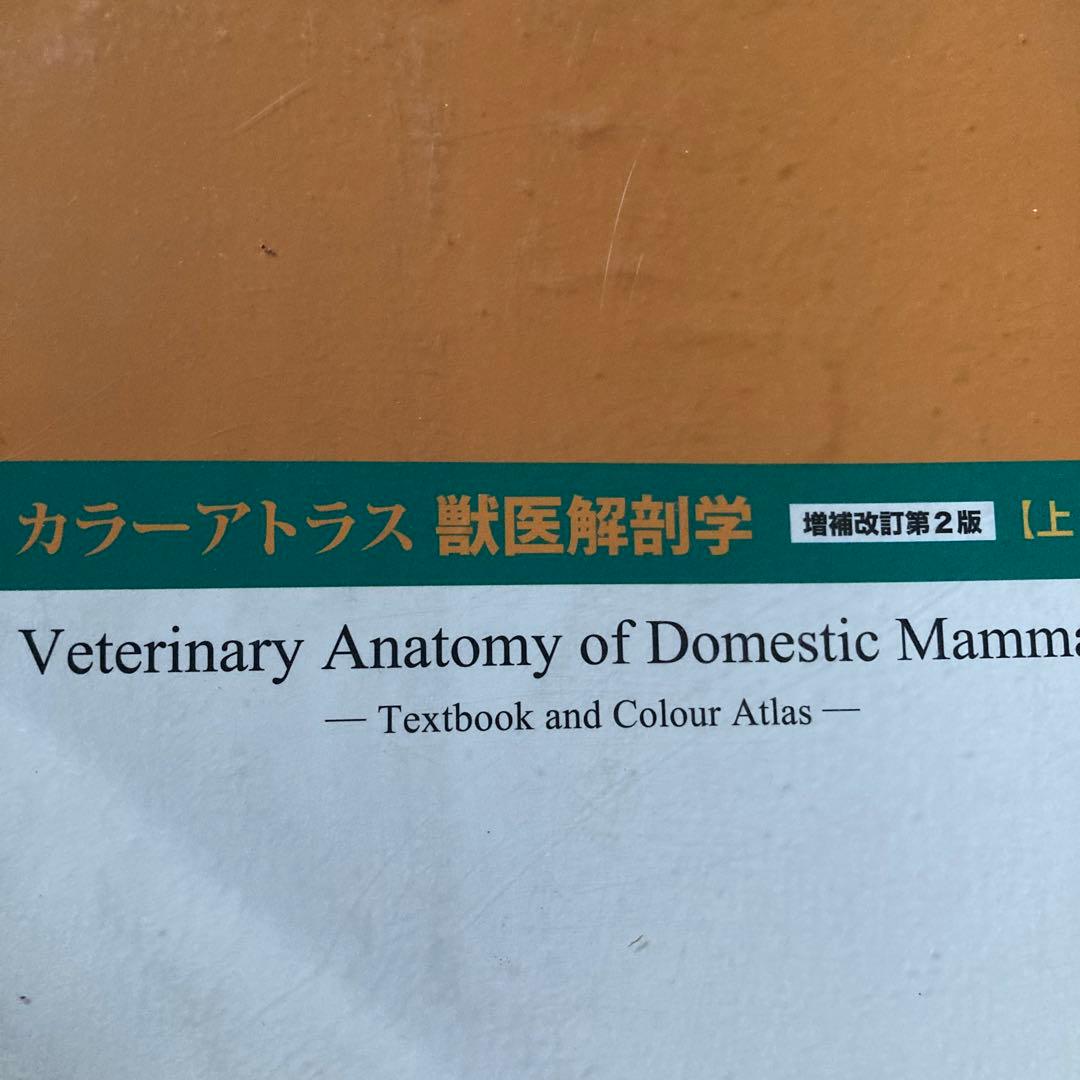 カラーアトラス獣医解剖学 上巻