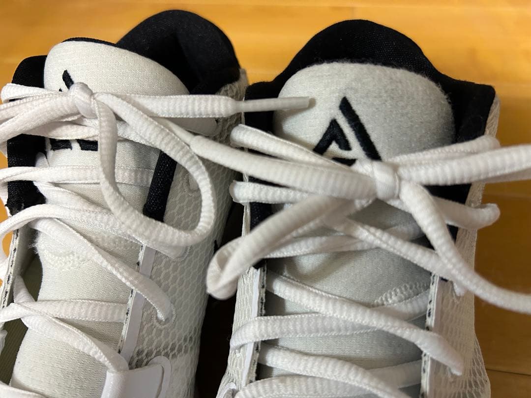 シューズ(男性用) Nike Zoom Freak1 26.5cm