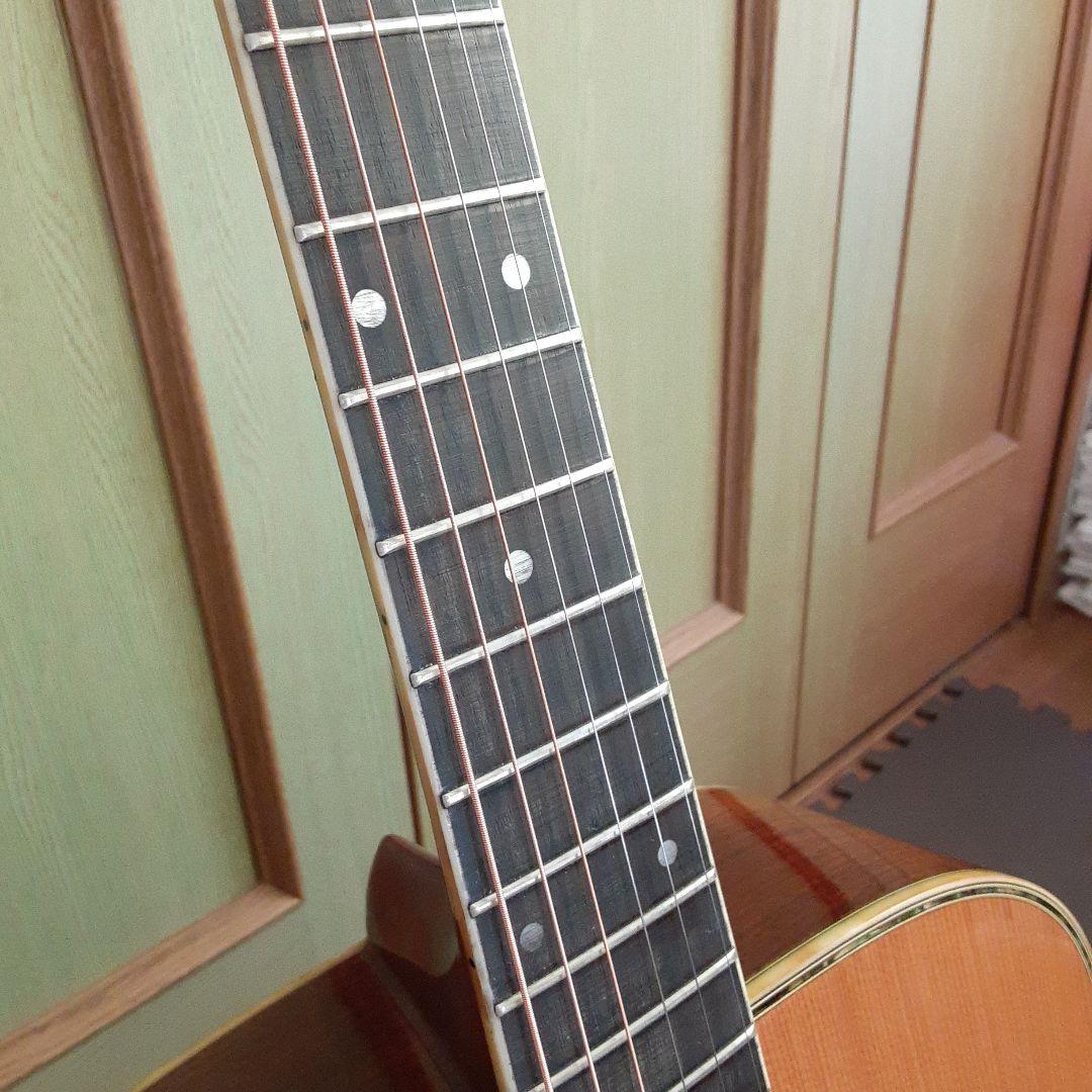 Morris日本製 w30 アコースティックギター ドレッドノートの通販はau