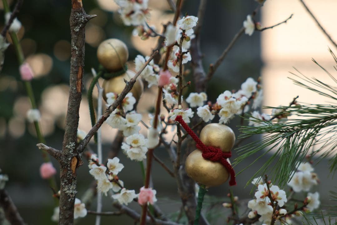 キヤノン Canon EF100-300mmF4.5-5.6 USM（訳あり）