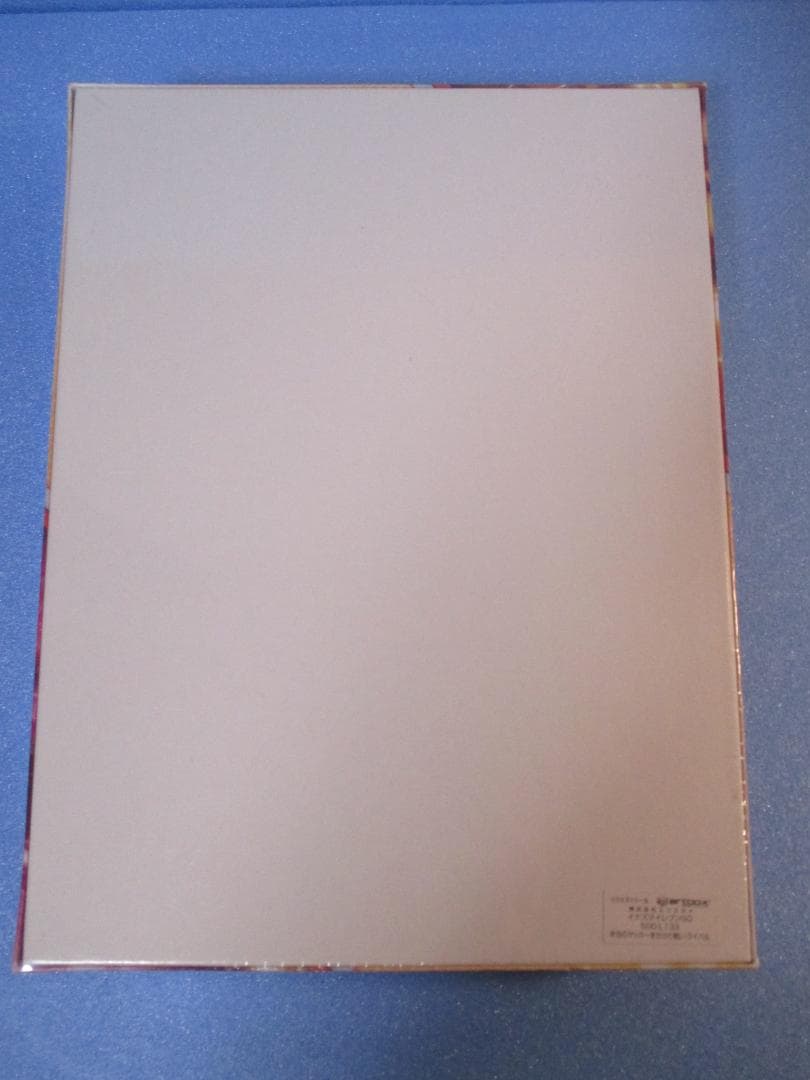 未開封◎イナズマイレブンGOジグソーパズル500L◎本当のサッカーを