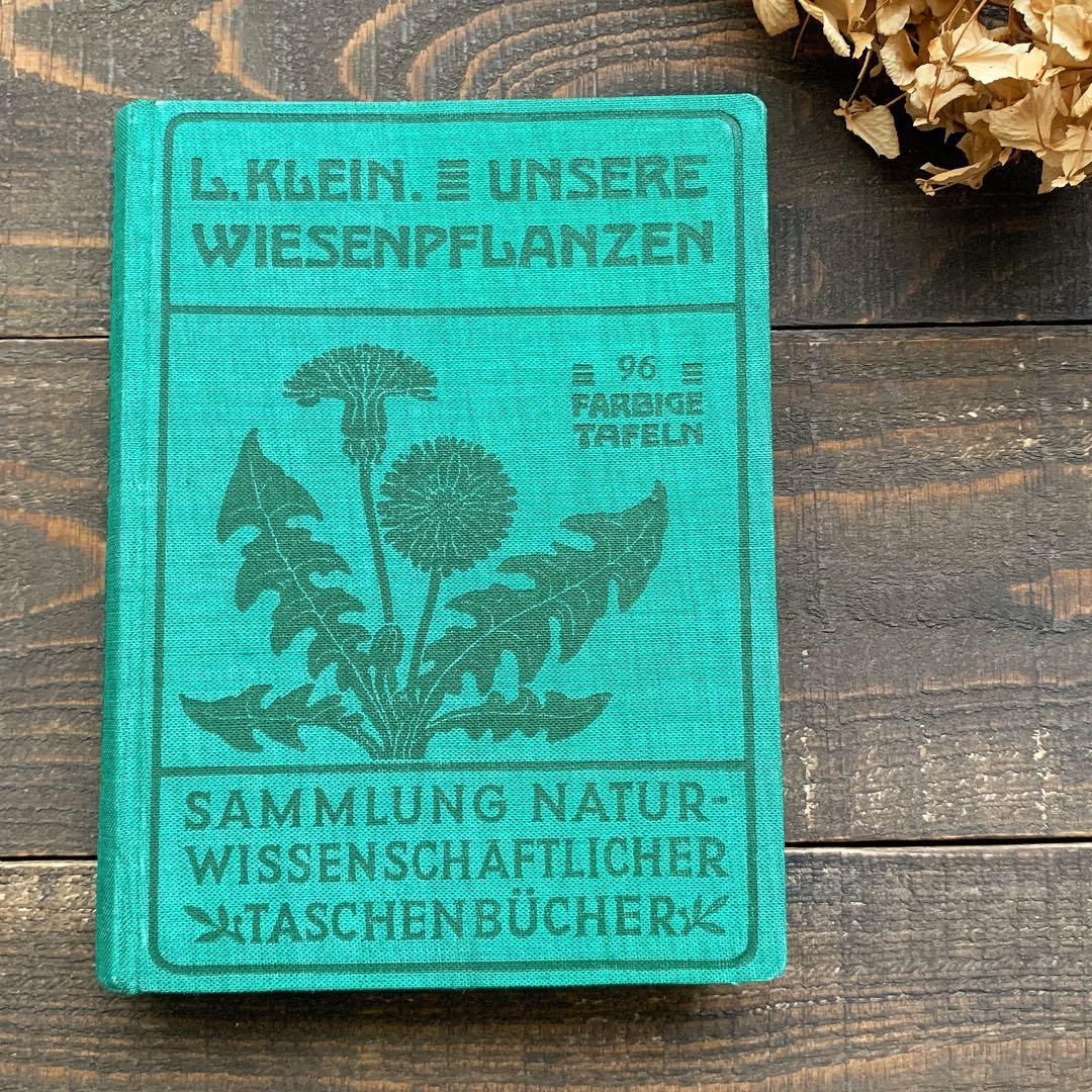 [1924年]ドイツの古い植物図鑑/植物画 ボタニカルアート 雰囲気◎/ Amazon.co.jp: ドイツの古い植物図鑑(HEILPFLANZEN)/アンティーク
