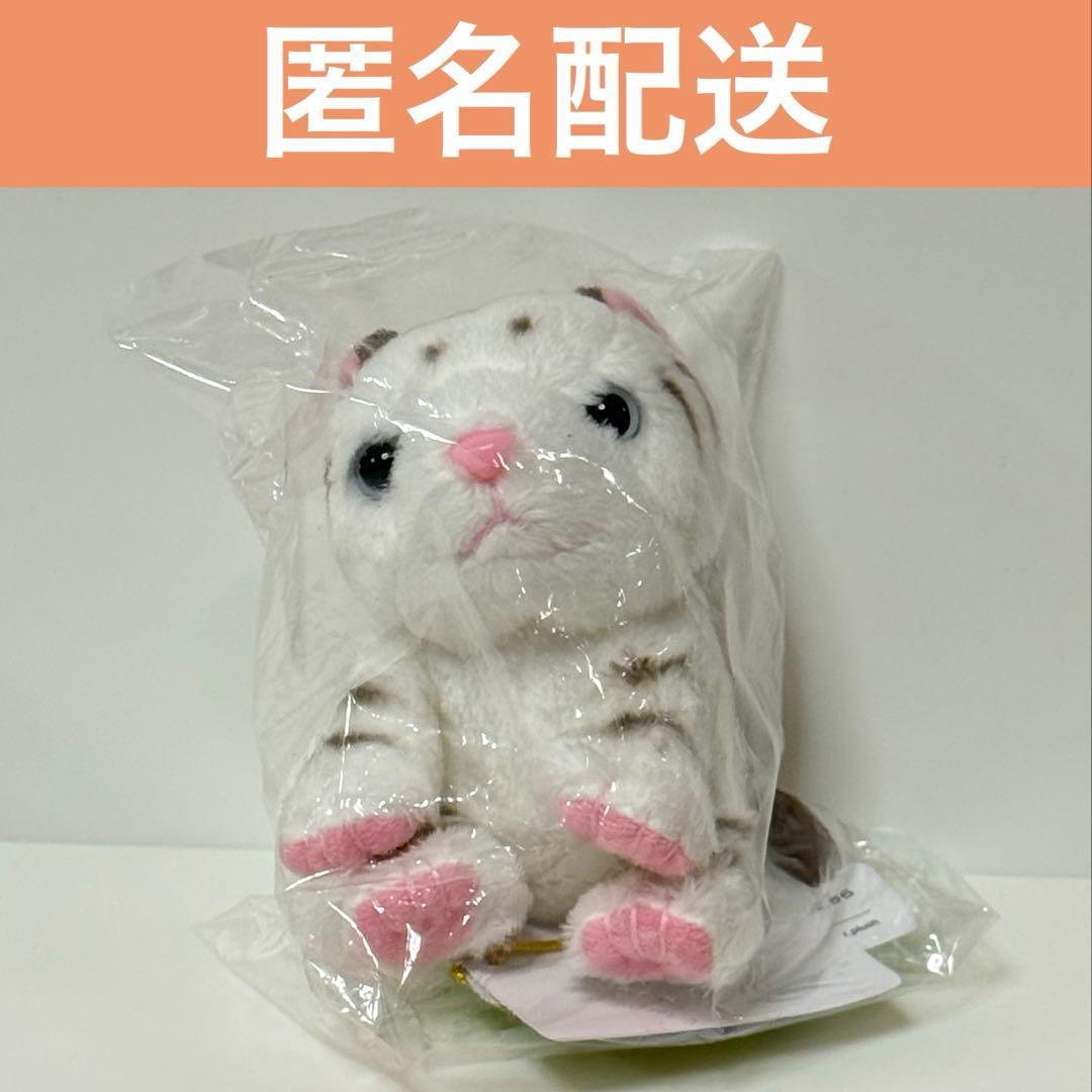 東武動物公園 ホワイトタイガー ぬいぐるみ キーホルダー 東武動物公園】ホワイトタイガーマスコットキーホルダー｜Yahoo!フリマ